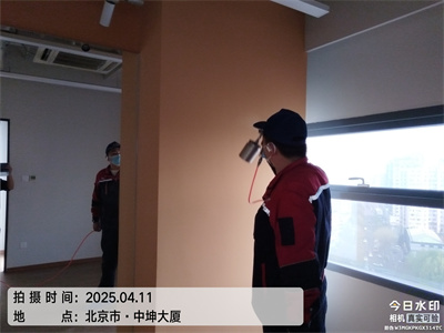 植物可以吸收装修污染吗