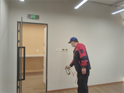 可以自己买甲醛清除剂DIY除甲醛吗？